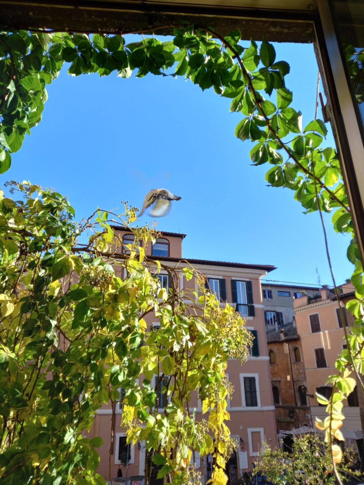 Central Apartment In Trastevere Rom Rum bild